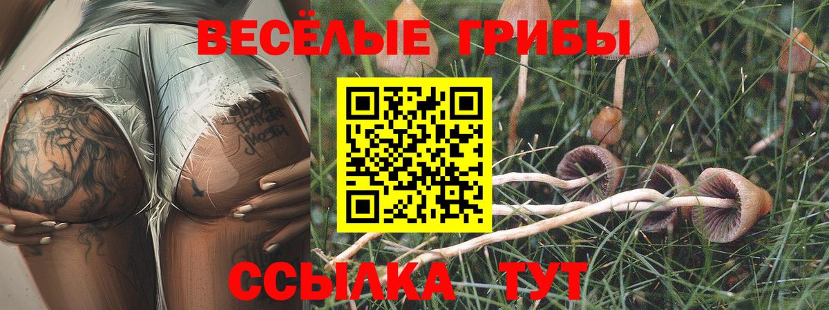 Псилоцибиновые грибы прущие грибы  где купить наркотик  Барнаул  Вход с VPN 