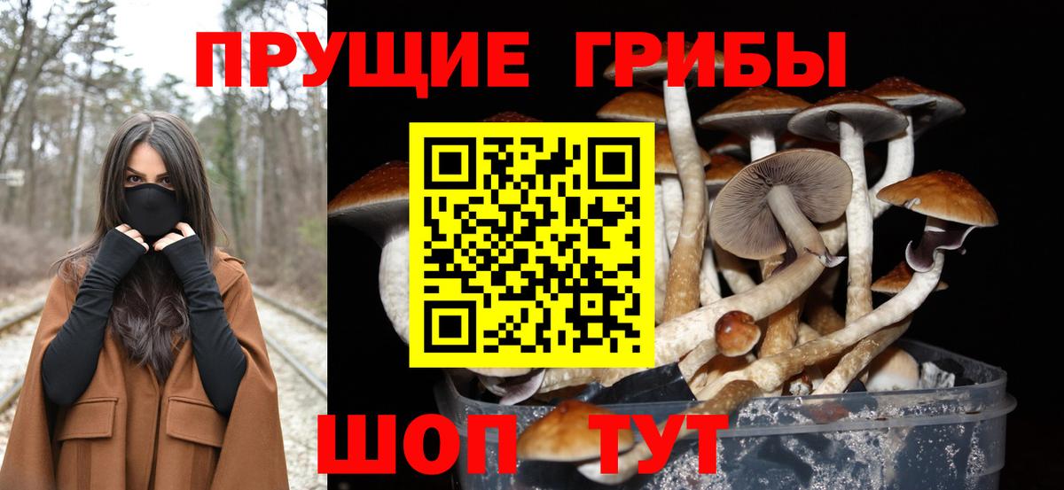 Галлюциногенные грибы Magic Shrooms Барнаул